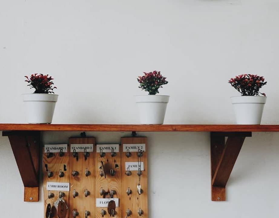 Tani Jiwo Hostel Diyeng Kültér fotó